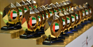 government excellence